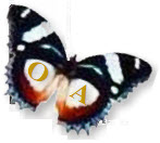 oa-butterfly